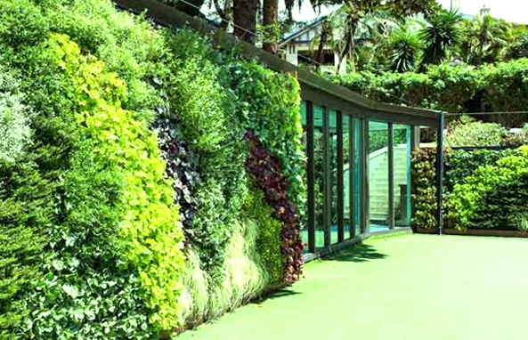 Vertical Garden
