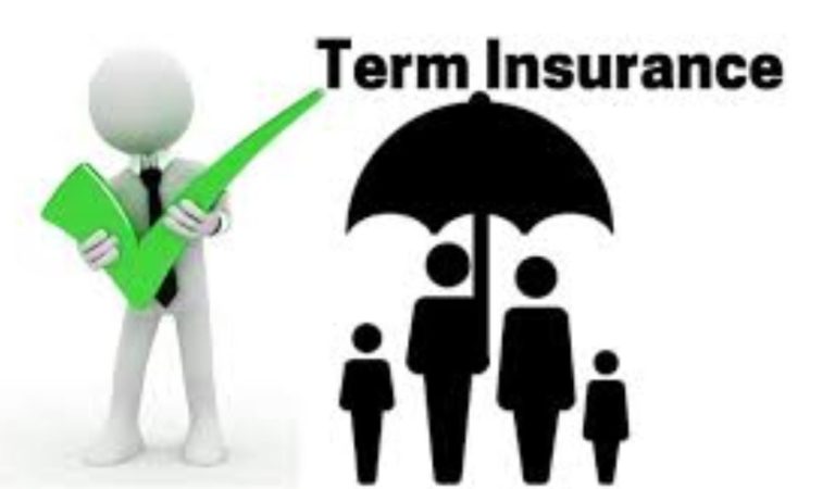 Term plan policy helps to secure your family
