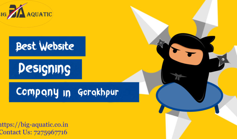 Website Designing Company in Gorakhpur