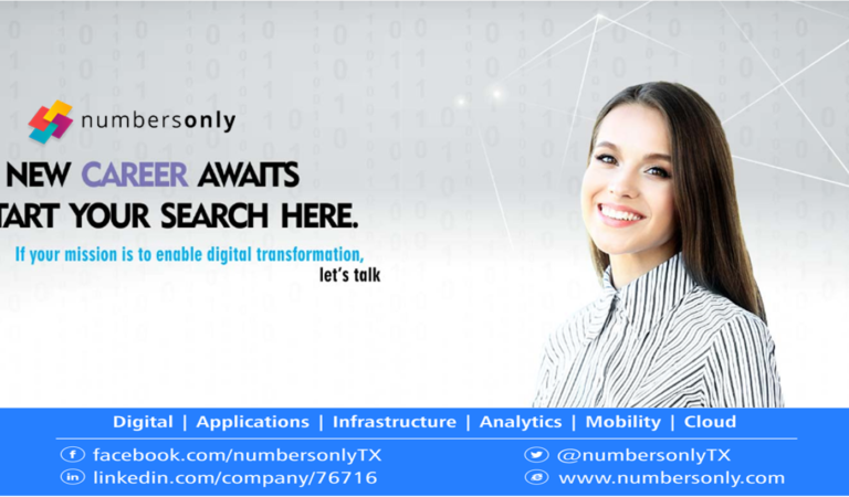 Best IT Staffing Companies in Texas – Numbers Only Inc