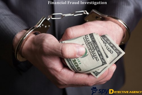 Financial Fraud Investigation