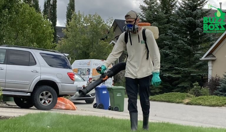 Residential Pest Control You Can Trust