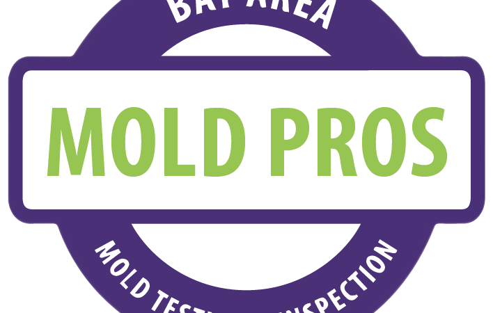 Watch Informative Mold Testing Videos by Bay Area Mold Pros