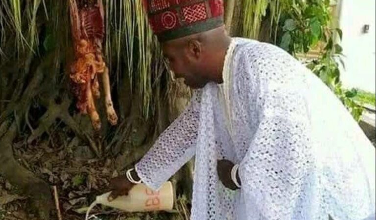 The Best Powerful SpirItual Herbalist Native Doctor IN Nigeria